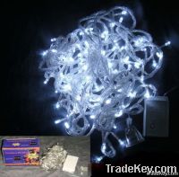 LED Christmas Light