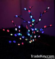 Lighting Tree-christmas lights