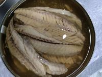 Canned Mackerel Fillets In Oil