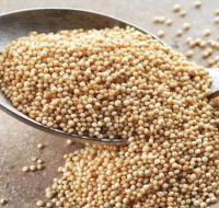 https://cn.tradekey.com/product_view/Amaranth-Seed-From-Peru-10261961.html