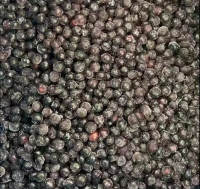 https://cn.tradekey.com/product_view/Best-Quality-New-Crop-Iqf-Blueberry-Whole-Frozen-Blueberry-Whole-Iqf-Fruits-10266057.html