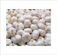 https://cn.tradekey.com/product_view/Best-Quality-Hot-Sale-Price-Fresh-Organic-Natural-Garlic-New-Crop-Fresh-Garlic-10267743.html