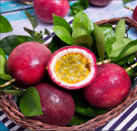 https://cn.tradekey.com/product_view/100-Natural-Passion-Fruit-From-Vietnam-Hot-Sale-With-High-Standard-2022-10267651.html