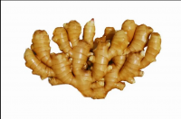 https://cn.tradekey.com/product_view/Buy-New-Ginger-Fresh-Wholesale-Suppliers-For-Fresh-Red-Ginger-10267823.html