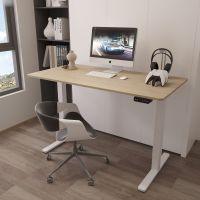 V-mounts Modern Design Dual Motor Electric Adjustable Desk