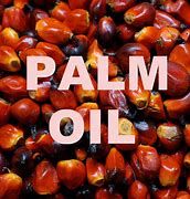 PALM OIL