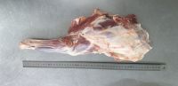 Premium Chilled Lamb Meat - Fresh, Tender, And Ready For Gourmet Cooking