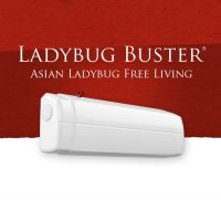 Ladybug Buster From Canada