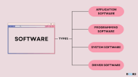 Website Development