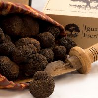 FRESH BLACK TRUFFLES MELANOSPORUM