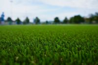 Artificial grass/Synthetic turf/Garden grass