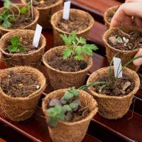 Coir Pots - Biodegradable from 100% coconut fiber coir pot for plants and flowers From Vietnam
