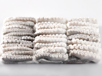 FROZEN CUT POULP SQUID
