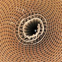 Cardboard Corrugated