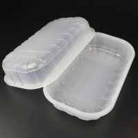 Fast Food Tray Cpet Plastic Plates Disposable Custom Plastic Clear Meat Food Packaging Trays For Airline From China