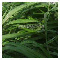 Kohenoor Ryegrass Seed - Boost Forage Quality And Milk Production