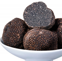 Wild Fresh Black Truffle Tuber +55gr Size 5-8cm