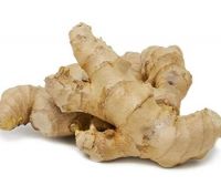 Ginger