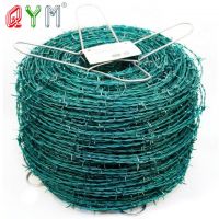 Hot Dipped Galvanized Razor Barbed Wire for Airport Prison Farm Security Fence