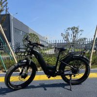 High Power Dirt Bike Electric With 750w Rear Hub Motor