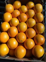 Fresh Oranges, Fresh Valencia Oranges And Navel Oranges High Quality Low Price