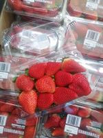 Fresh Berries, Fresh Strawberry With High Quality, Fresh Style Berries, Fresh Strawberries Punnets