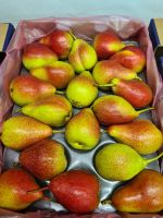 Fresh Pears, Premium Sweet Pears, Packams Triumph Pears, Forelle Pears, Bon Rouge Pears