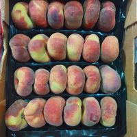 Quality Fresh Peaches, Fresh Plums, Fresh Nectarine, Yellow Peaches, Yellow Nectarine