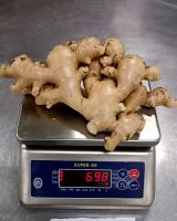 Fresh Ginger, Air Dry Ginger, Premium Fresh And Dry Ginger