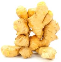 Fresh Ginger, Air Dry Ginger, Premium Fresh And Dry Ginger