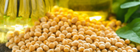 Soybean oil