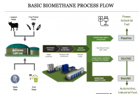 BioMethane