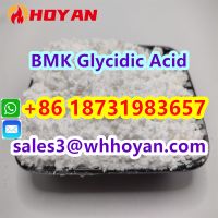 CAS 25547-51-7 BMK Glycidic Acid Powder China Manufacturer High Quality