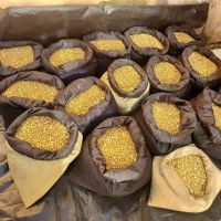 GOLD BARS AND NUGGETS AVAILABLE