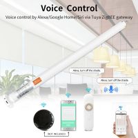 Rechargeable Lithium Battery Smart Tubular Blind
