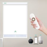 Google Alexa Tuya Smart Motorized Roller Blinds