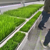 hydroponic fodder container farm From China