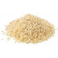 Sesame Seed