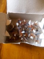 HAND TIED FISHING FLIES From Kenya