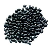 Black Beans