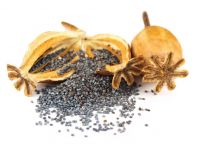 Dried Poppy seeds