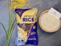 Japonica Rice