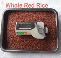 Red Rice