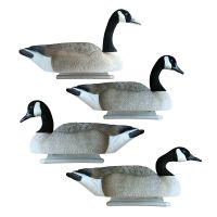 Goose Decoys
