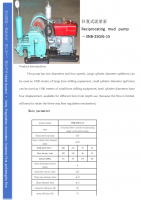 Reciprocating Mud Pump 3NB-250/6