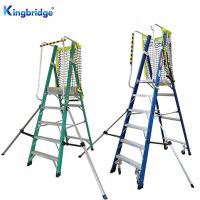 Fiberglass Platform Ladder With Support