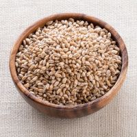 Quality Durum Wheat Grain for Cooking and Baking Reliable Supplier Of Agricultural rains From Canada