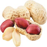 Salted Beer Nuts, Red Skin Peanuts Snacks, Peanut For Sale With Best Price - Peanut, Nut