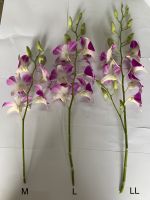 Dendrobium Anina Orchid Stem (Pink Color)