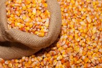 https://cn.tradekey.com/product_view/Yellow-Corn-Maize-For-Animal-Feed-Usa-Origin-Best-Prices-10264861.html